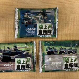 いざという時には、国を守り人々を助ける職員がいます！！